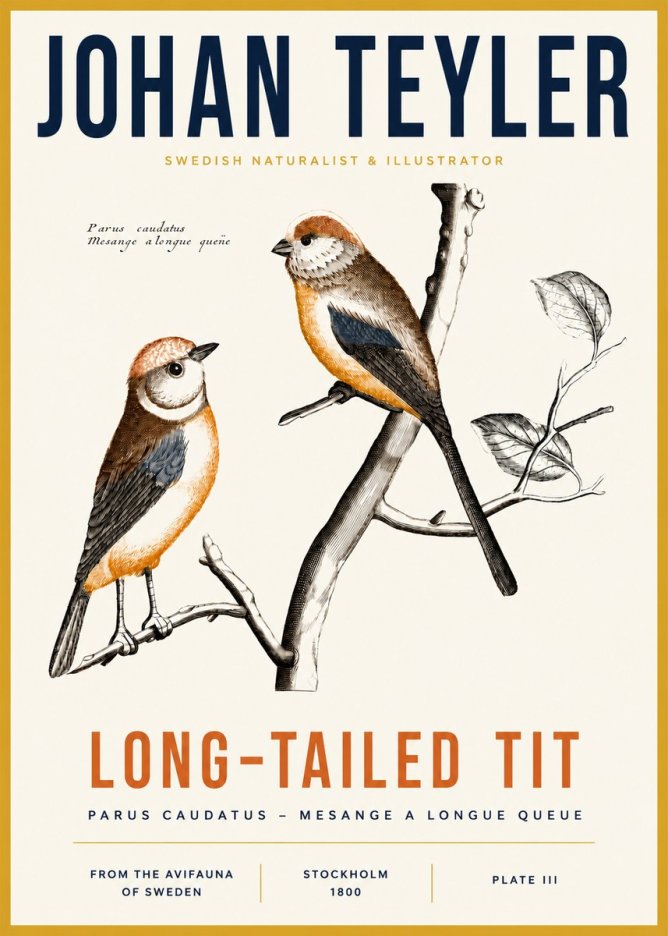 Johan Teyler Long-tailed Tit No3 - Poster