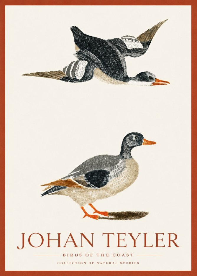 Johan Teyler Birds of the Coast No3 - Poster
