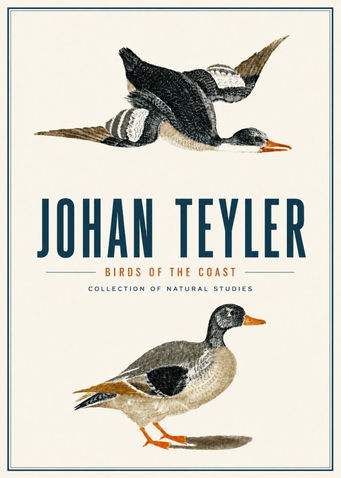 Johan Teyler Birds of the Coast No4 - Poster