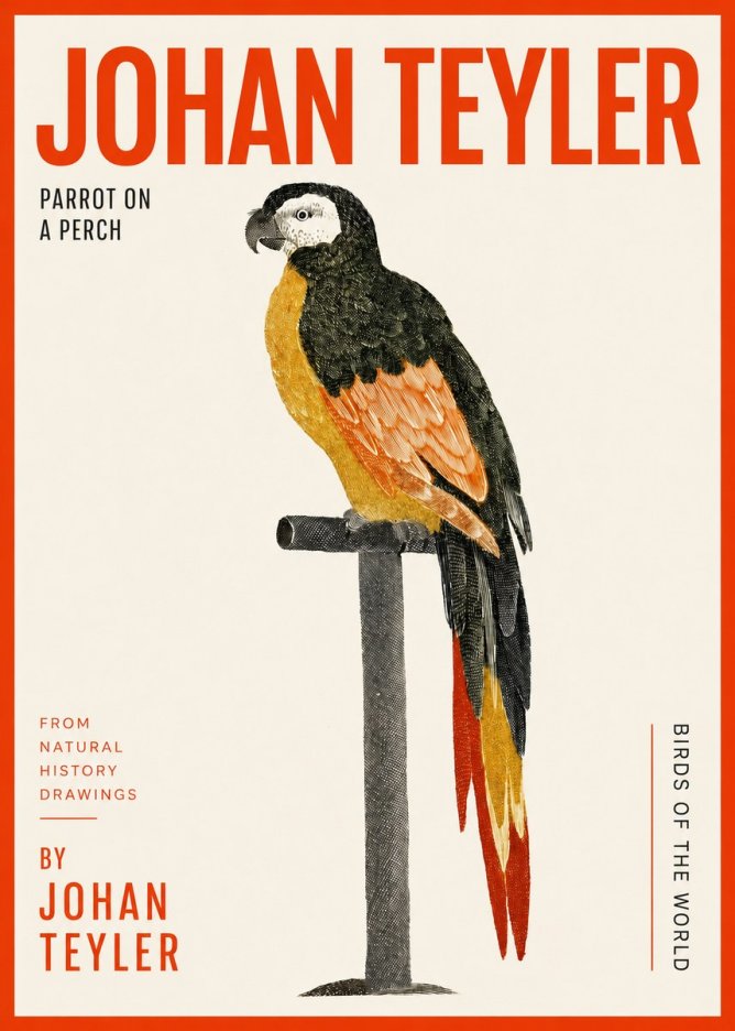Johan Teyler Parrot on a Perch No2 - Poster