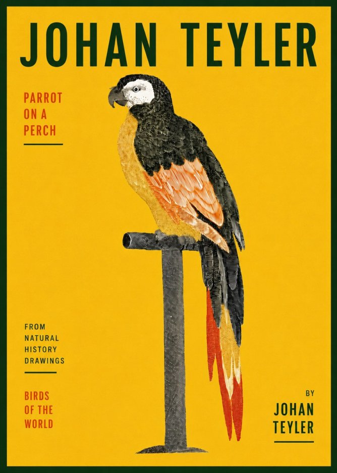 Johan Teyler Parrot on a Perch No5 - Poster