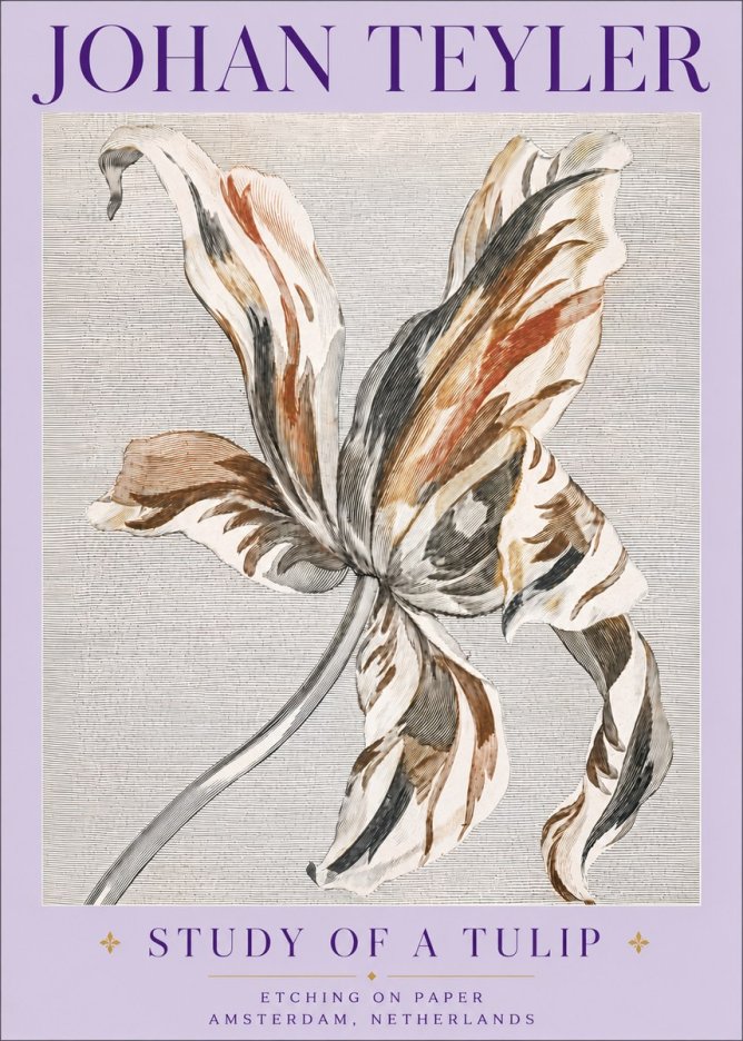 Johan Teyler Study of a Tulip No6 - Poster