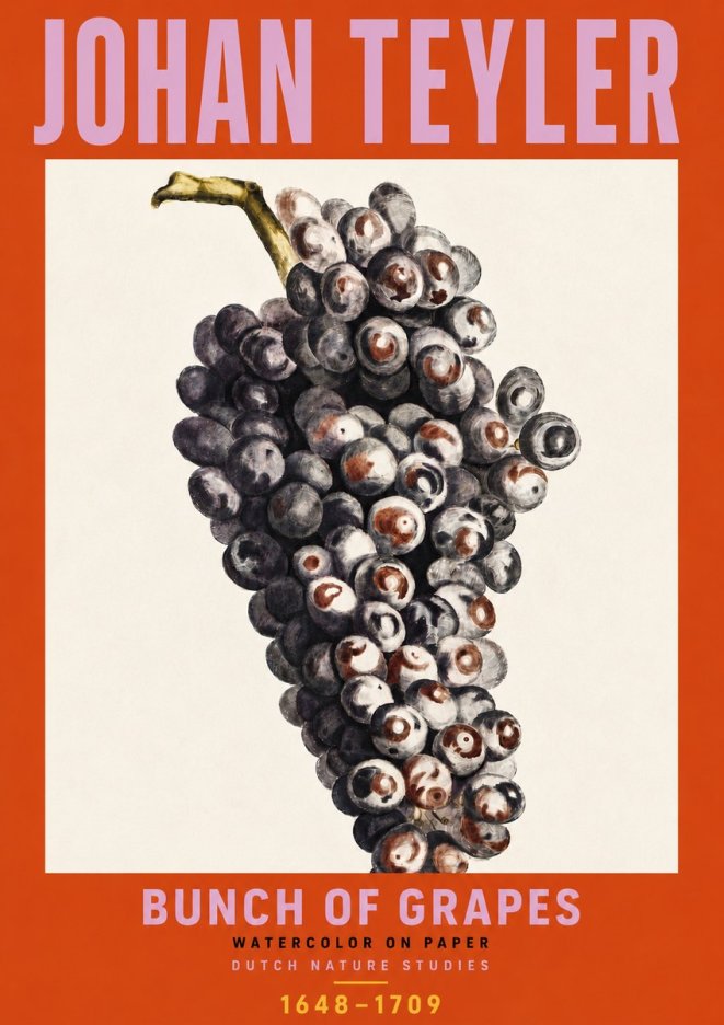 Johan Teyler Bunch of Grapes No6 - Poster