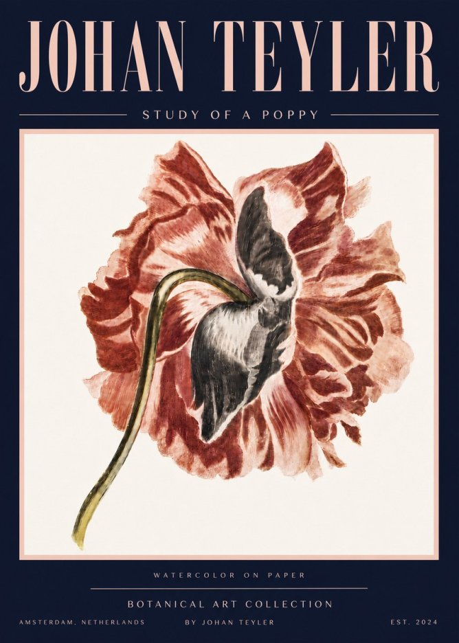 Johan Teyler Study of a Poppy No4 - Poster
