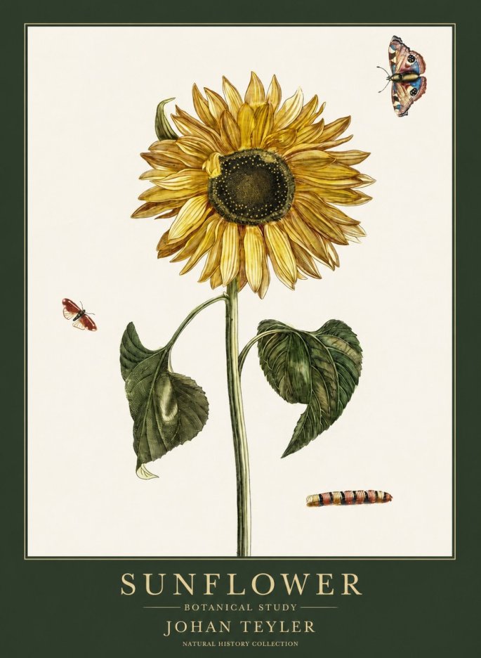 Johan Teyler Sunflower with Insects No6 - Poster