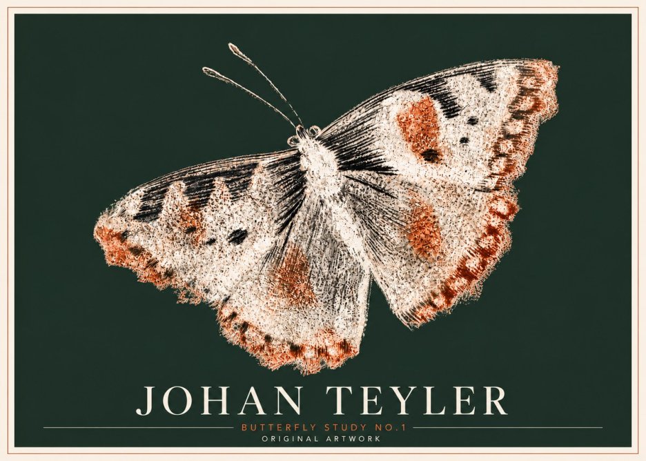 Johan Teyler Butterfly Study No.1 No6 - Poster
