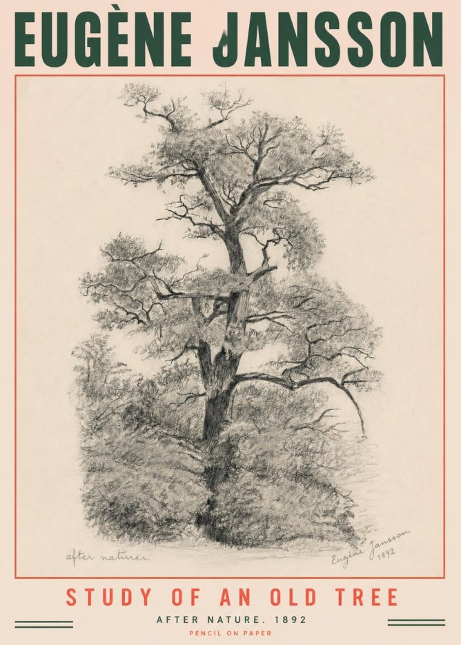 Eugène Jansson Study of an Old Tree No3 - Poster