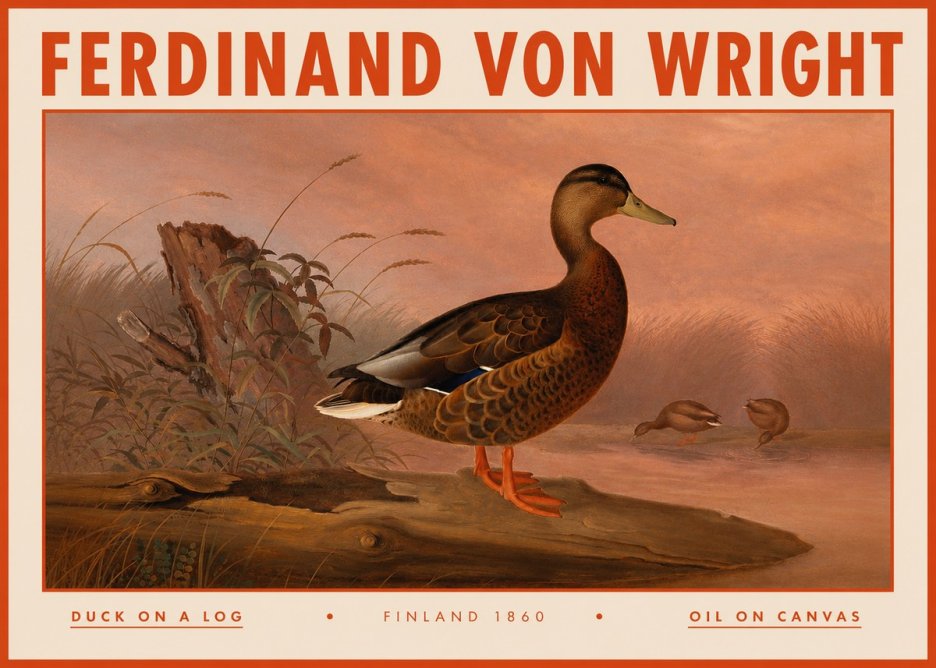 Ferdinand von Wright Wild Duck No5 - Poster