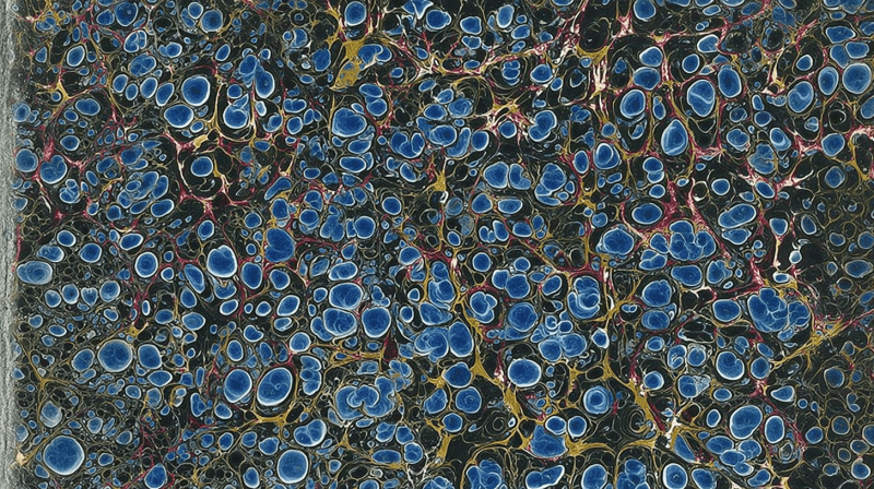 Uploaded
wallpaper