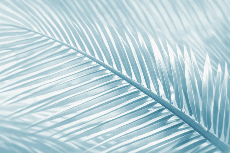 Uploaded
wallpaper