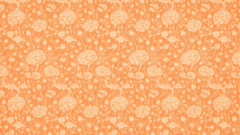 Uploaded
wallpaper