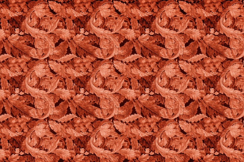 Uploaded
wallpaper