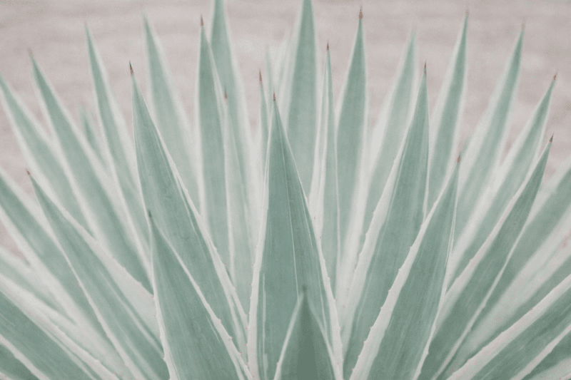 Uploaded
wallpaper