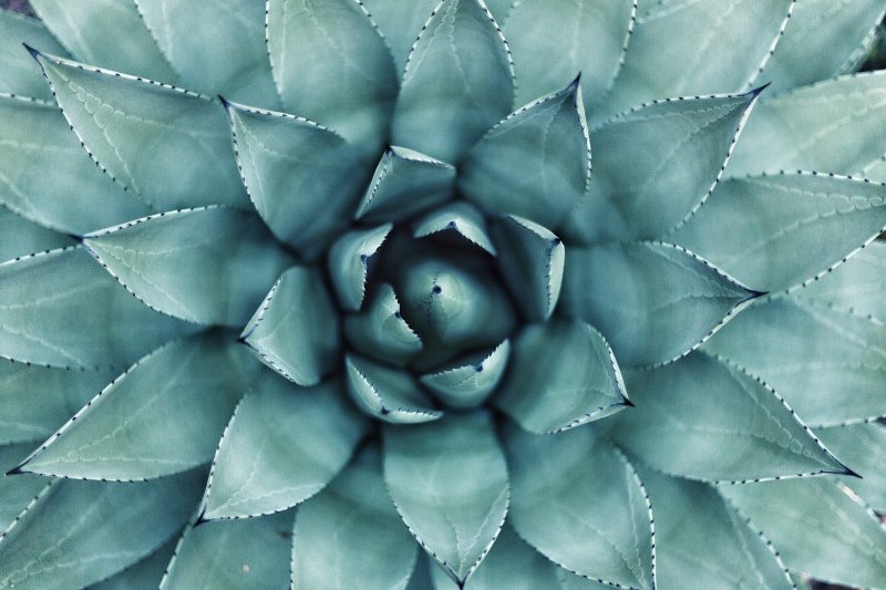 Uploaded
wallpaper