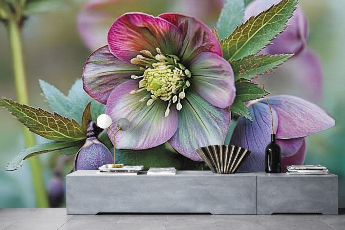 Silken Petal Whisper