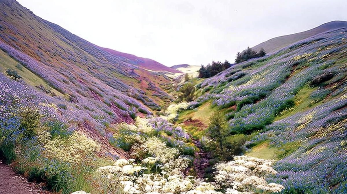 Lush Valley Tapestry