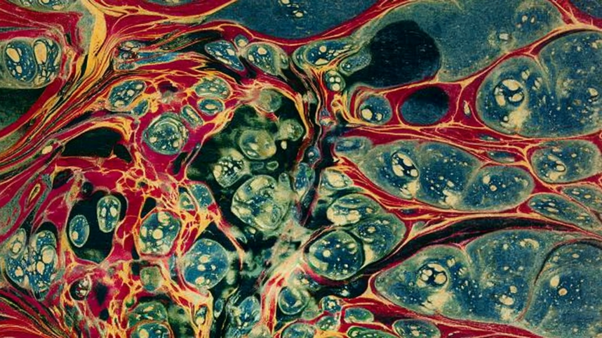 Lava Mosaic