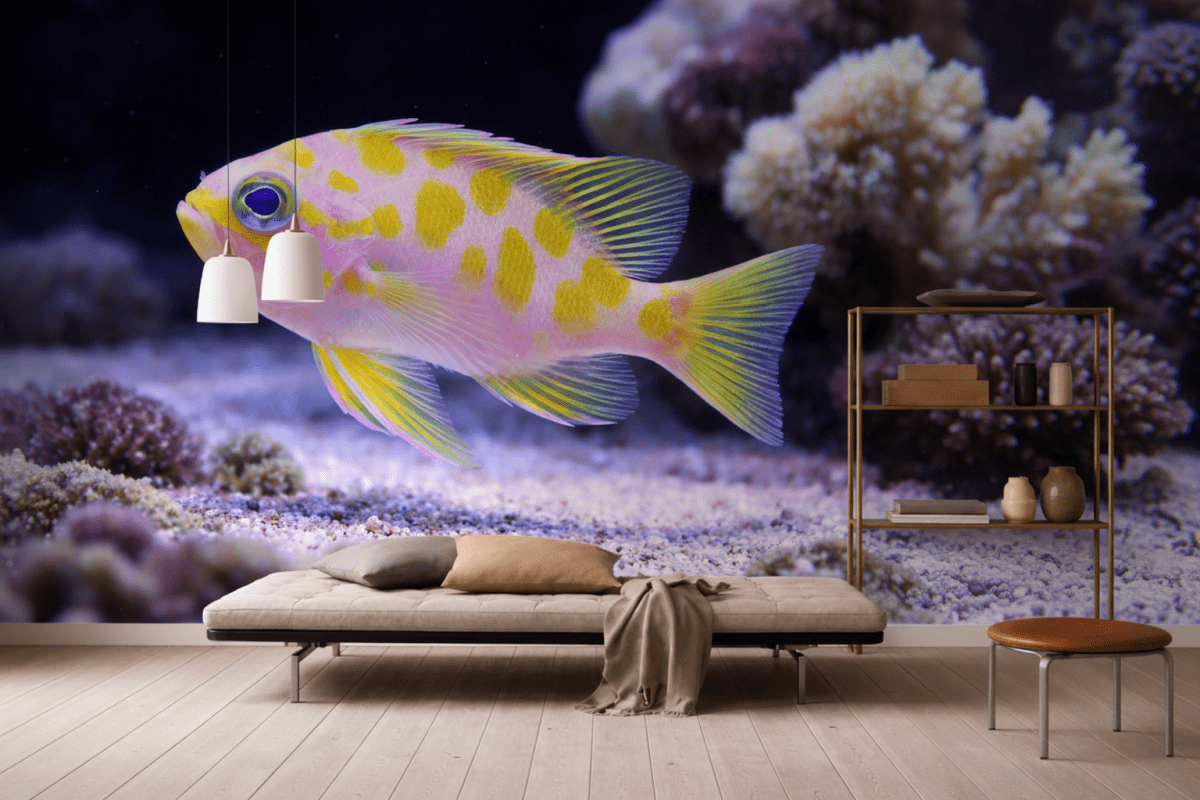 Sunlit Reef Echo