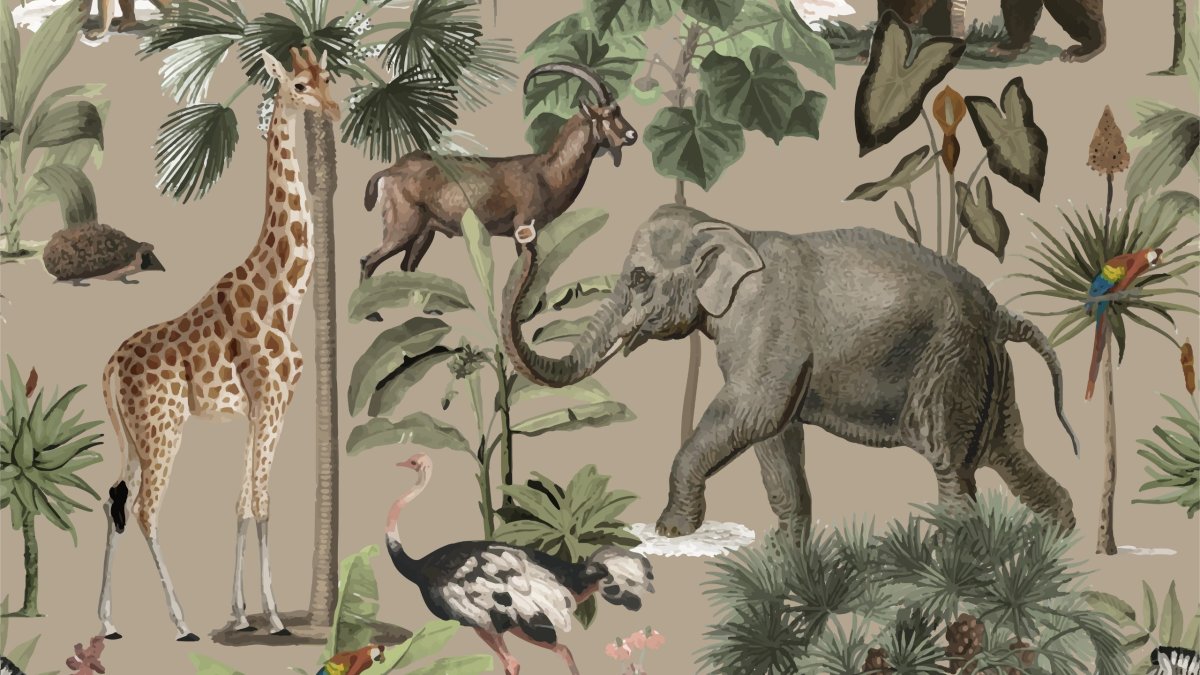 Jungle Reverie