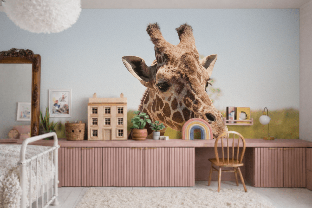 Savannah Giraffe Gaze