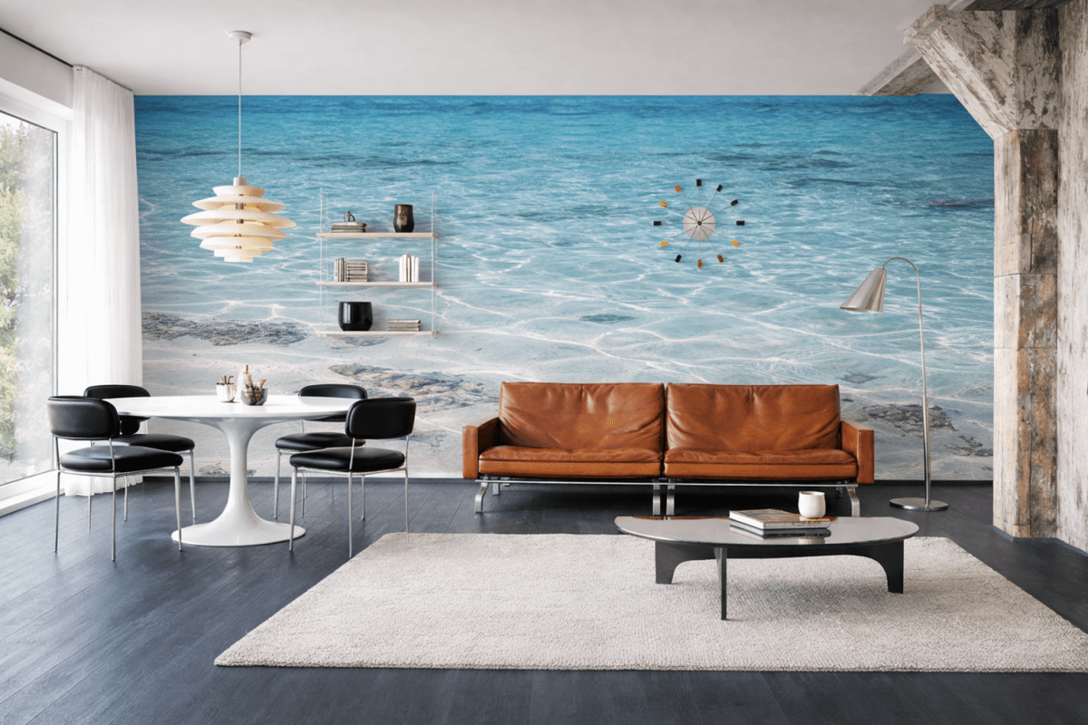 Lucent Shallows