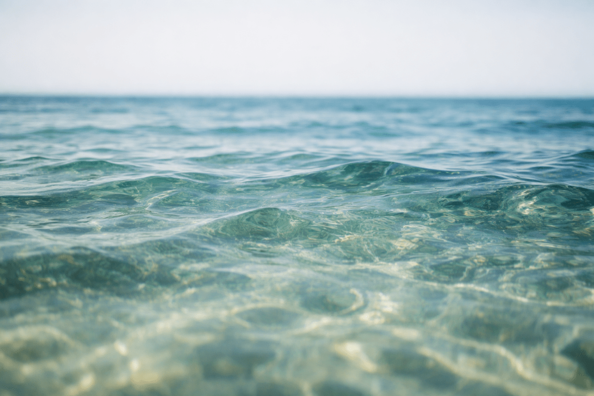 Wavescape Veil