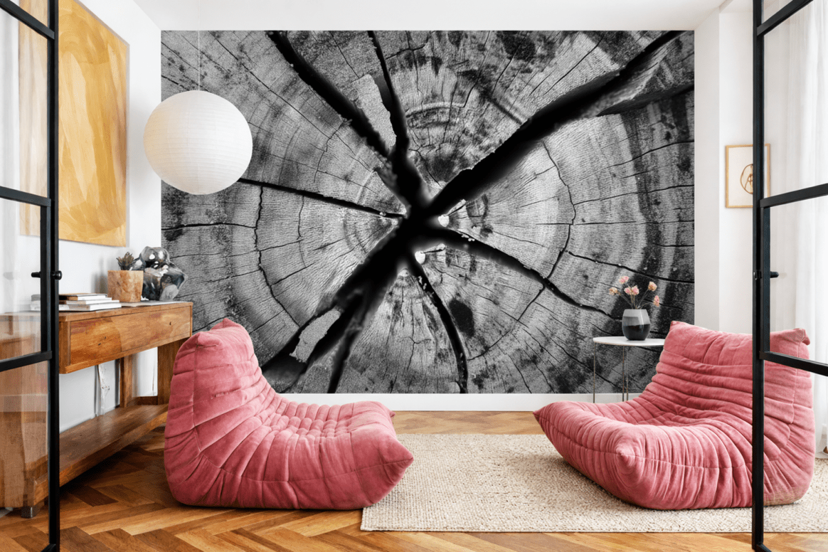 Tree Ring Symphony