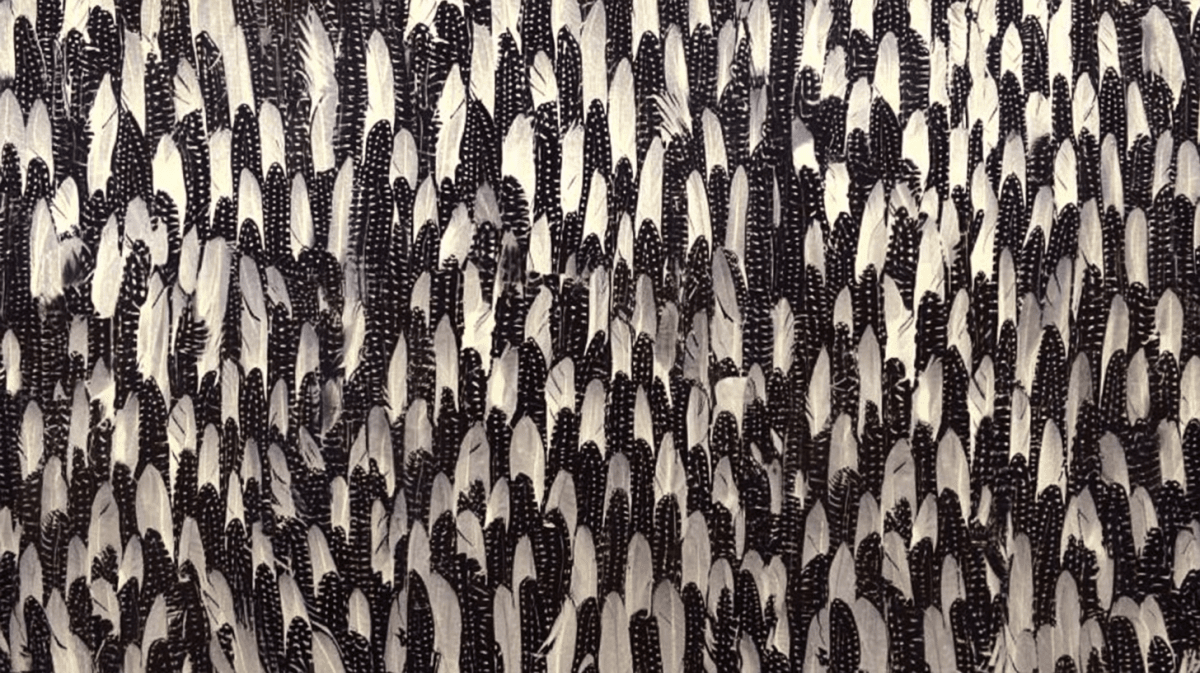 Feathered Ink Stratum