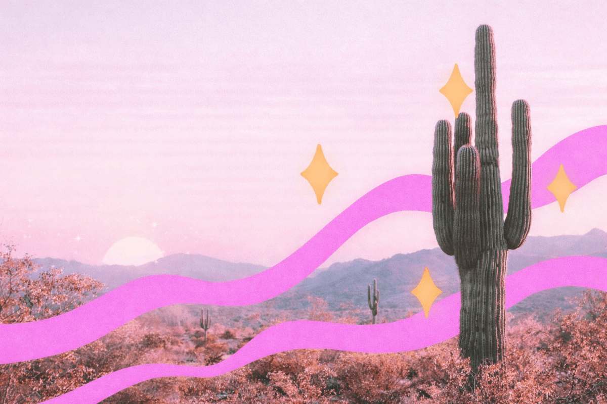 Cactus Nocturne