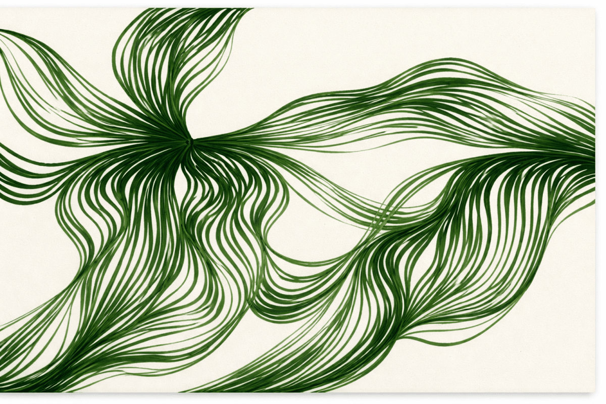 Whirlpool Fronds