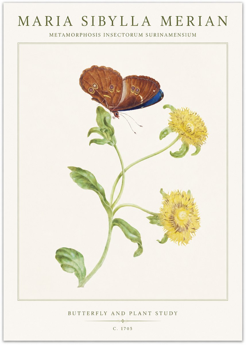 Maria Sibylla Merian Butterfly and Plant Study No1 - Poster