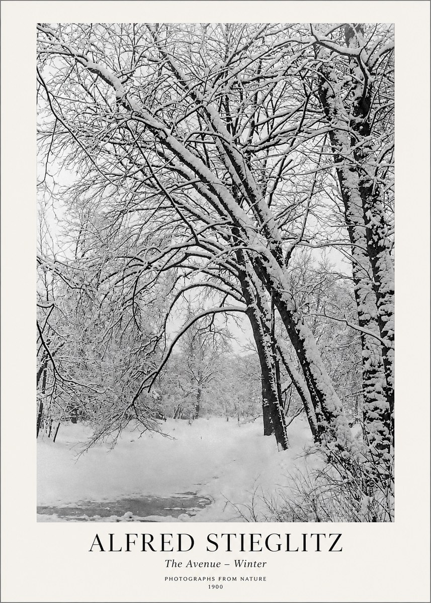 Alfred Stieglitz The Avenue – Winter No1 - Poster