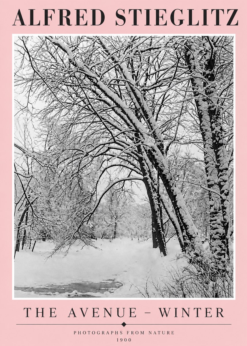 Alfred Stieglitz The Avenue – Winter No4 - Poster