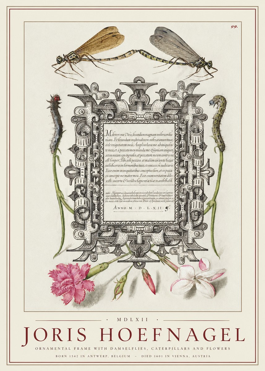 Joris Hoefnagel Ornamental Frame with Damselflies, Caterpillars and Flowers No1 - Poster