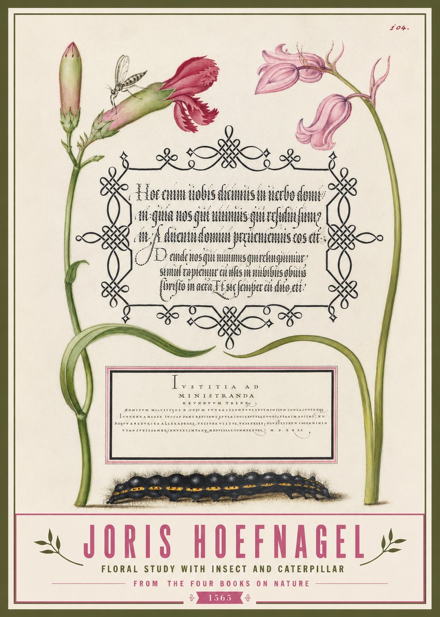 Joris Hoefnagel Floral Study with Insect and Caterpillar No3 - Poster