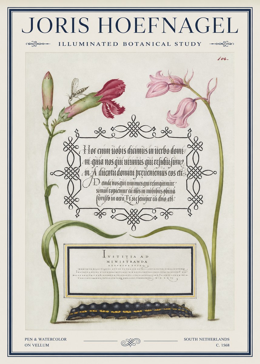 Joris Hoefnagel Floral Study with Insect and Caterpillar No5 - Poster