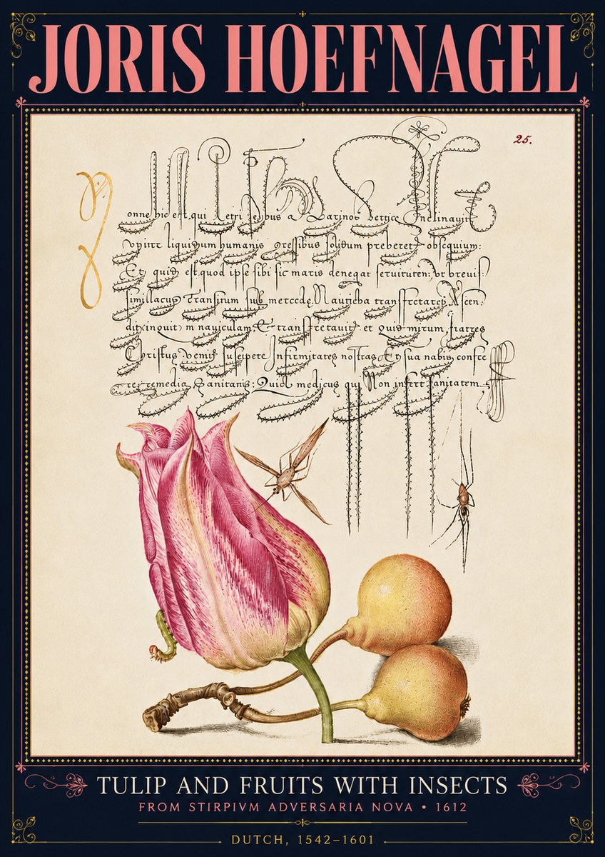 Joris Hoefnagel Tulip and Fruits with Insects No4 - Poster