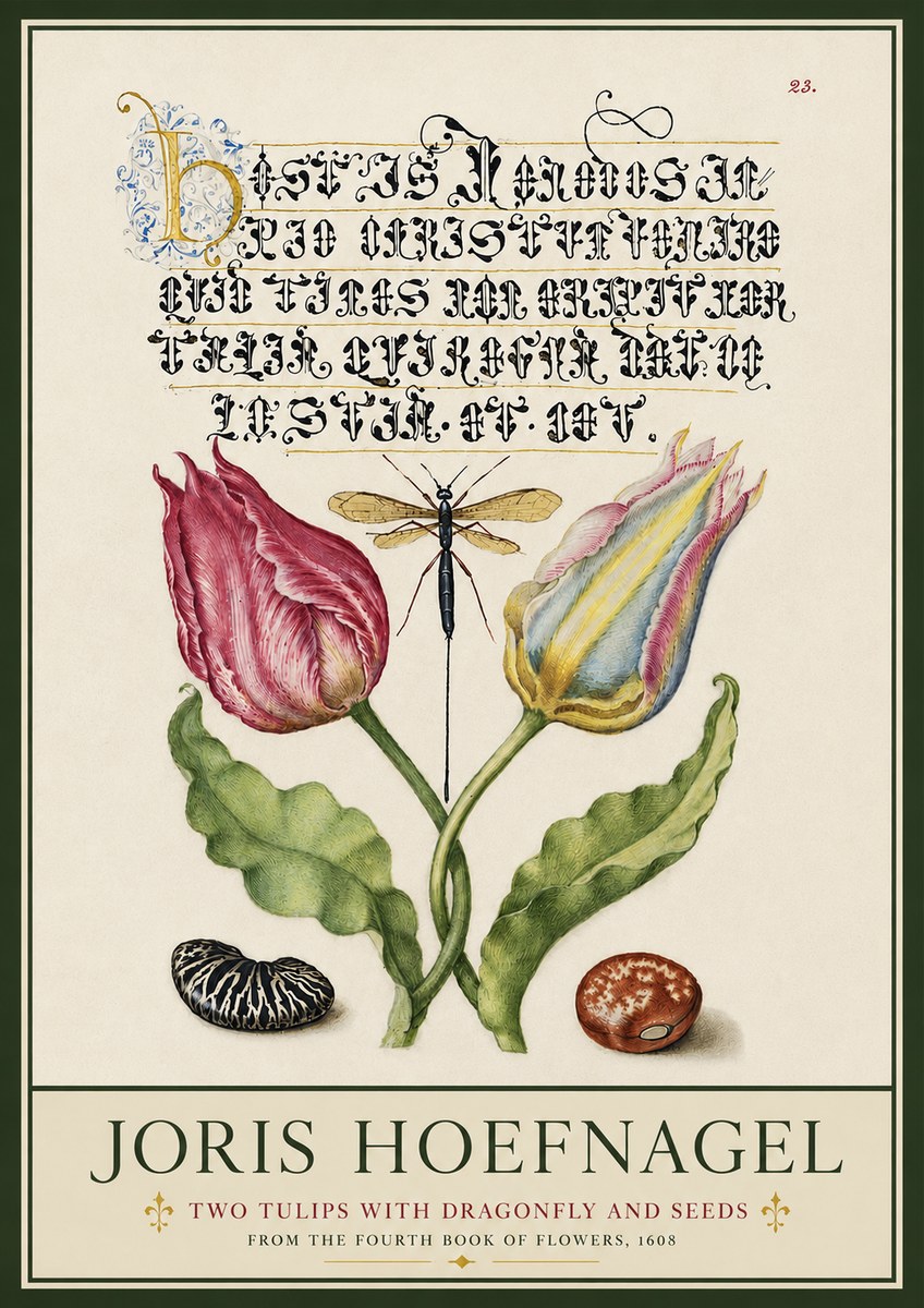 Joris Hoefnagel Two Tulips with Dragonfly and Seeds No3 - Poster