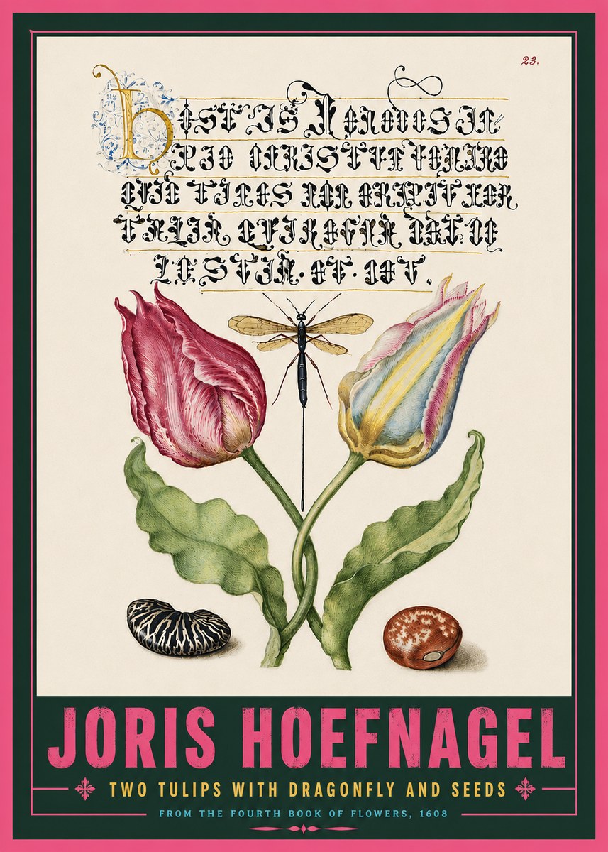 Joris Hoefnagel Two Tulips with Dragonfly and Seeds No5 - Poster