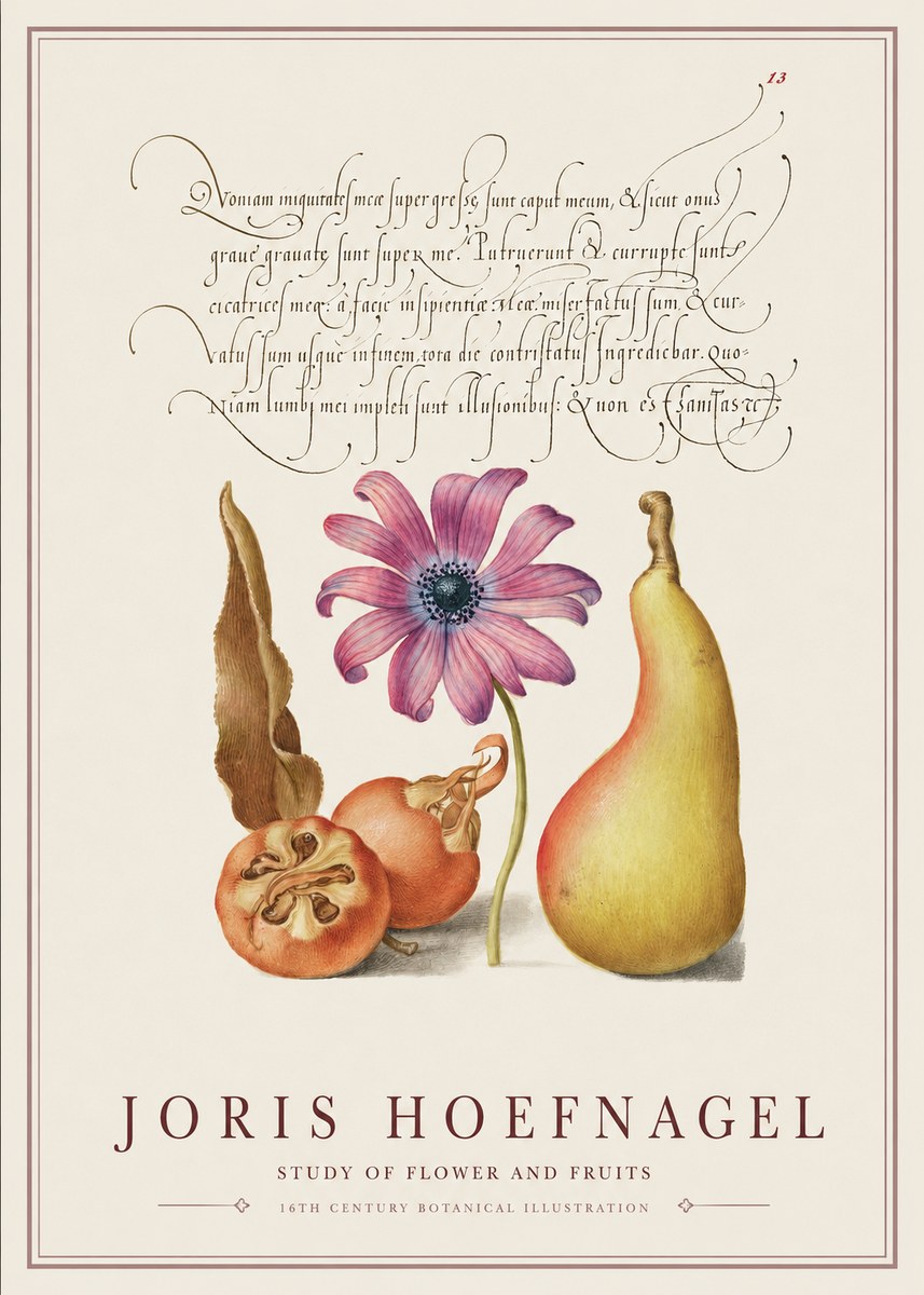 Joris Hoefnagel Study of Flower and Fruits No1 - Poster