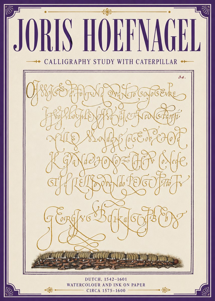 Joris Hoefnagel Calligraphy Study with Caterpillar No6 - Poster