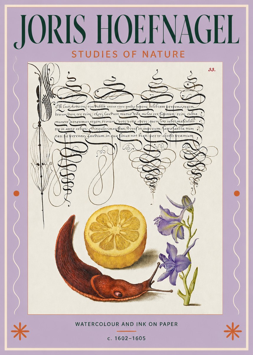 Joris Hoefnagel Studies of Nature No3 - Poster