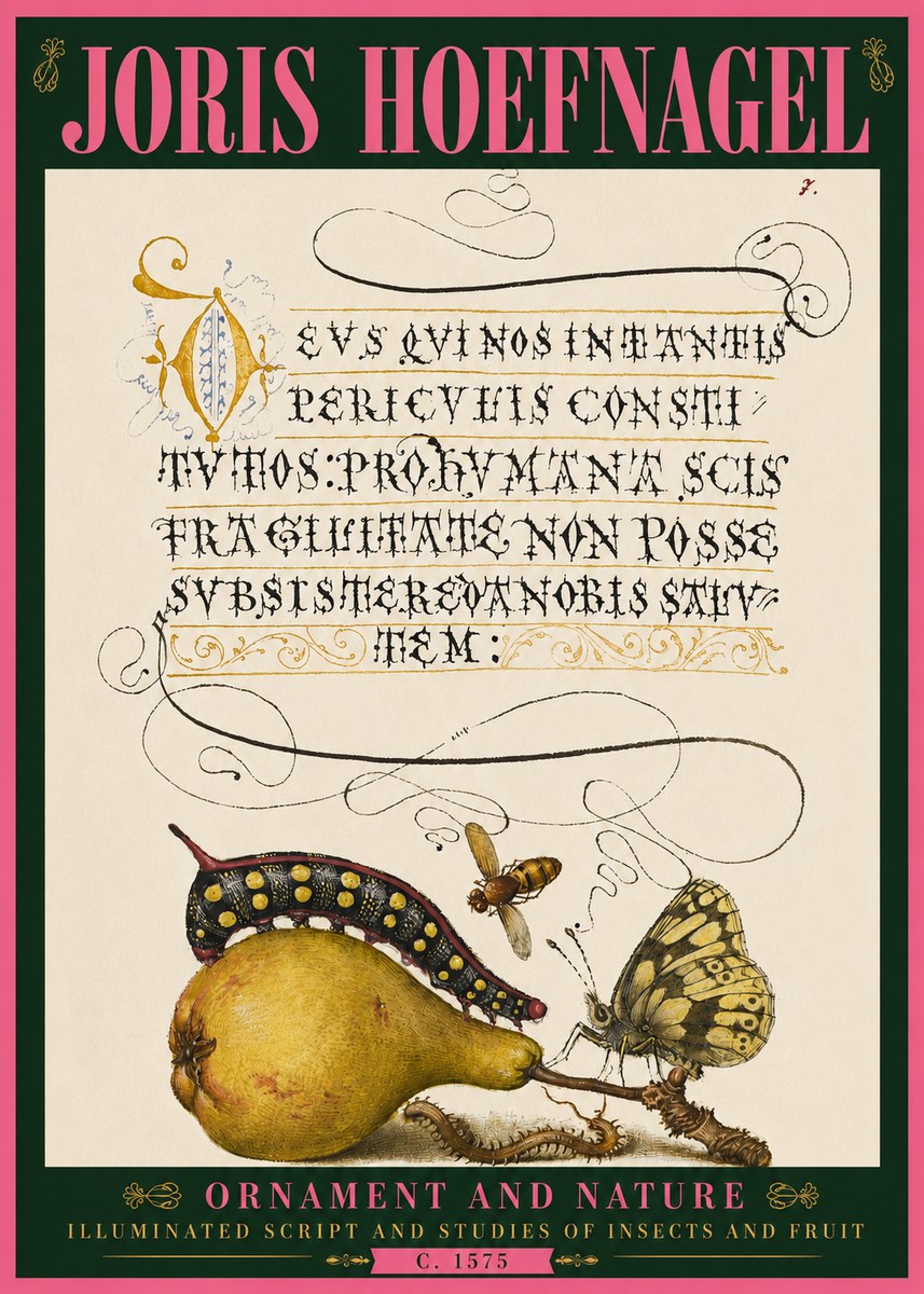 Joris Hoefnagel Ornament and Nature - Illuminated Script and Studies of Insects and Fruit No4 - Poster