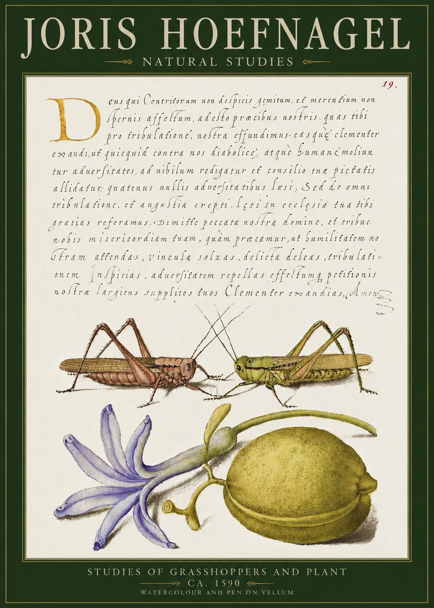 Joris Hoefnagel Studies of Grasshoppers and Plant No2 - Poster