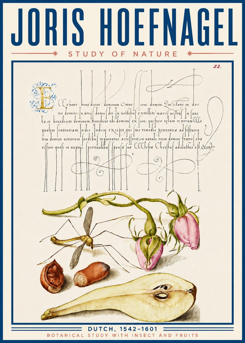Joris Hoefnagel Studies of Plants, Insects and Fruits No6 - Poster