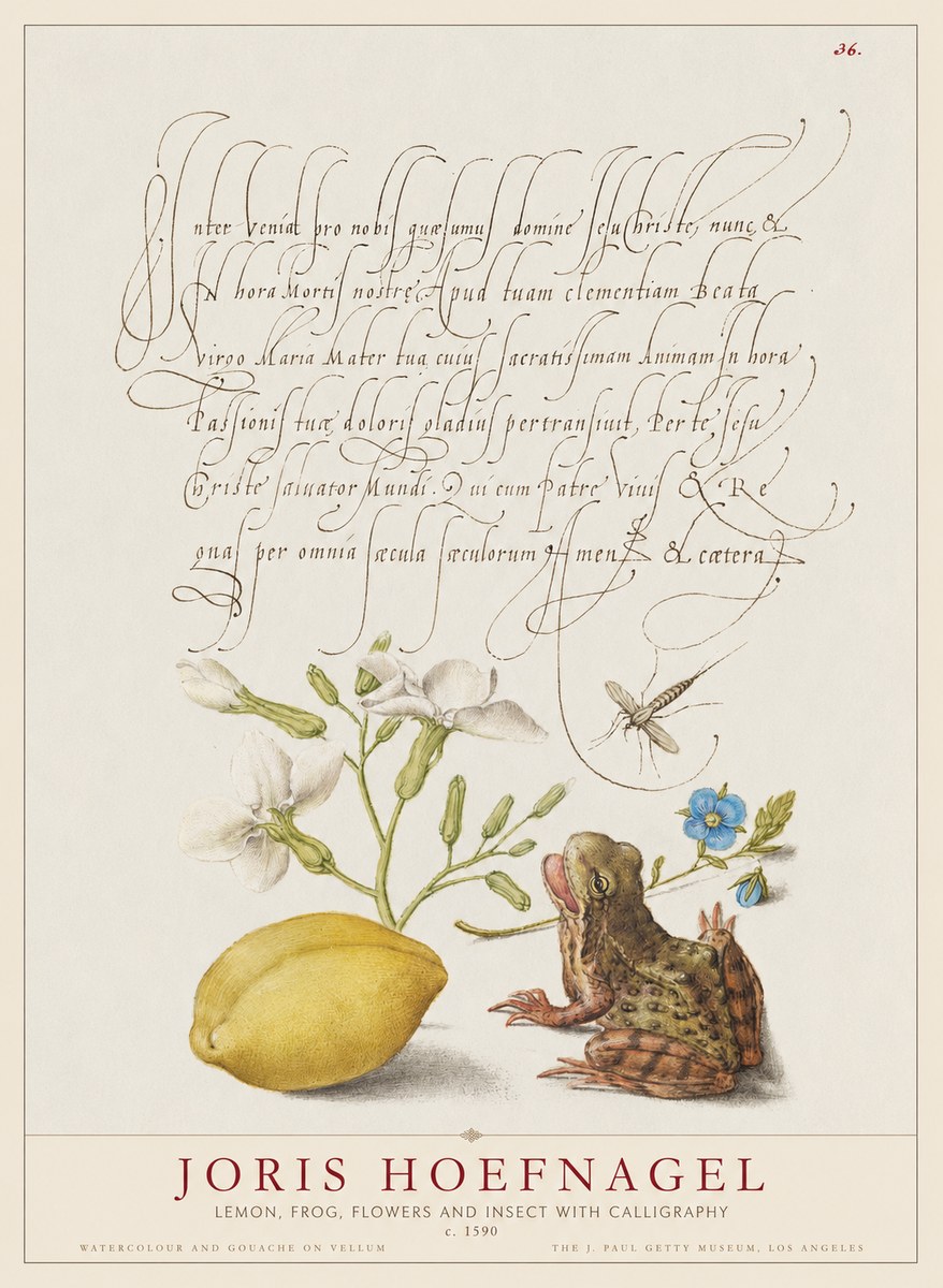 Joris Hoefnagel Nature Study with Lemon, Flowers, Frog & Insect No2 - Poster