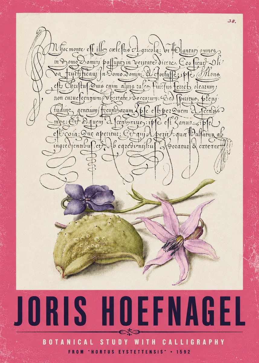 Joris Hoefnagel Botanical Study with Calligraphy I No2 - Poster