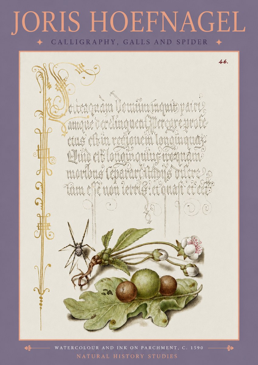Joris Hoefnagel Plant with Galls and Insect No4 - Poster