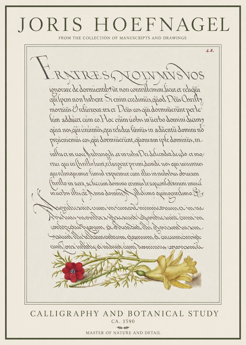 Joris Hoefnagel Calligraphy and Botanical Study I No1 - Poster