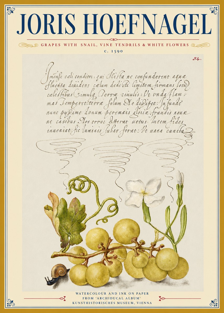 Joris Hoefnagel Grapes with Snail, Vine Tendrils & White Flowers No3 - Poster